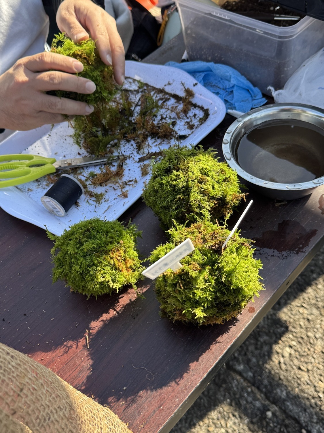 水間鉄道コラボ　手作り苔玉ワークショップ