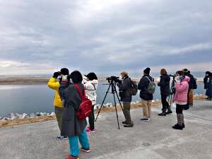1月31日開催！！野鳥観察会のご案内