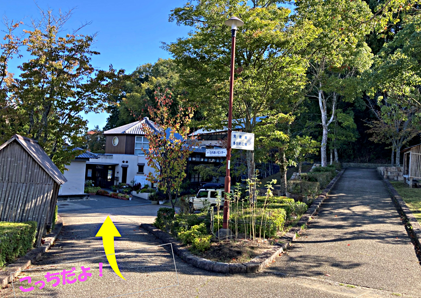 ハ多すくすく広場　こいのぼりあそび！