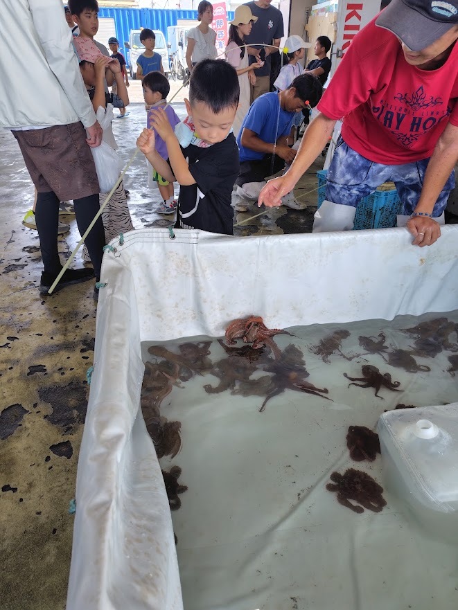 釣って！触って！親子で学ぼう 明石ダコ体験