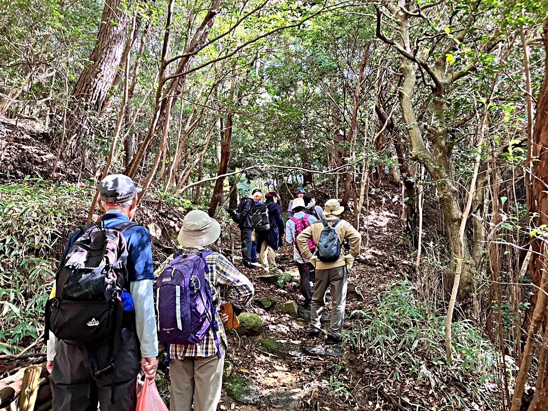 森と遊ぼう 芦屋の森で探そう・触れよう・やってみよう！
