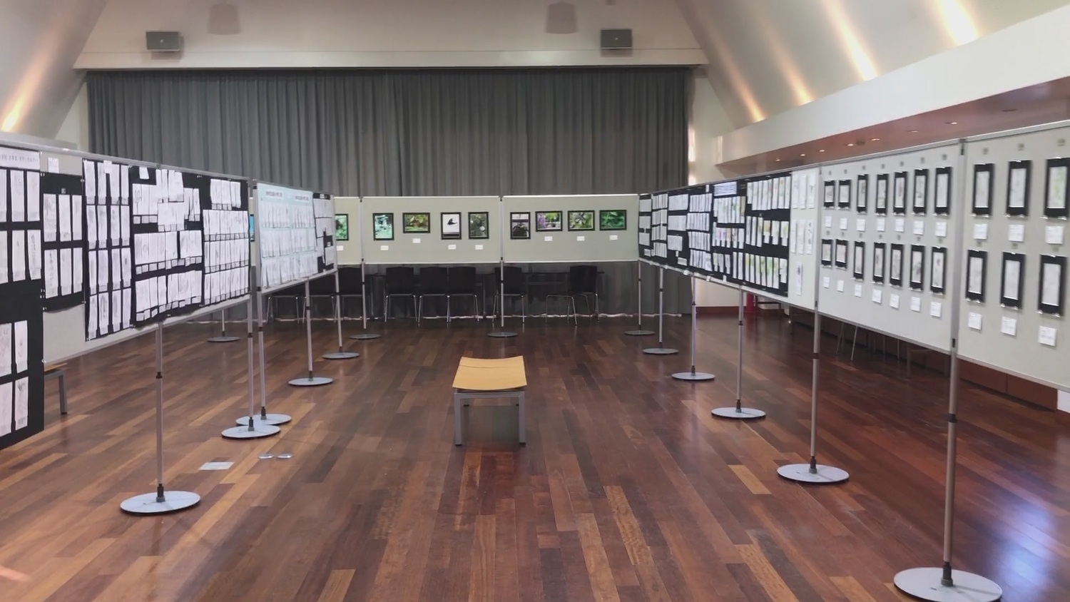 「蝶のいる風景写真コンテスト」、「植物画を描こう！」作品募集