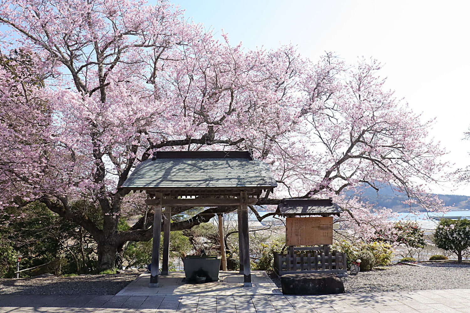 春風喫茶