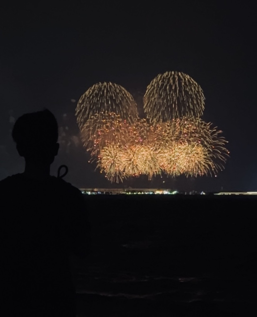 ６月６日開催!！舞洲の花火＆ドローンショー観覧クルーズ参加者募集のお知らせ