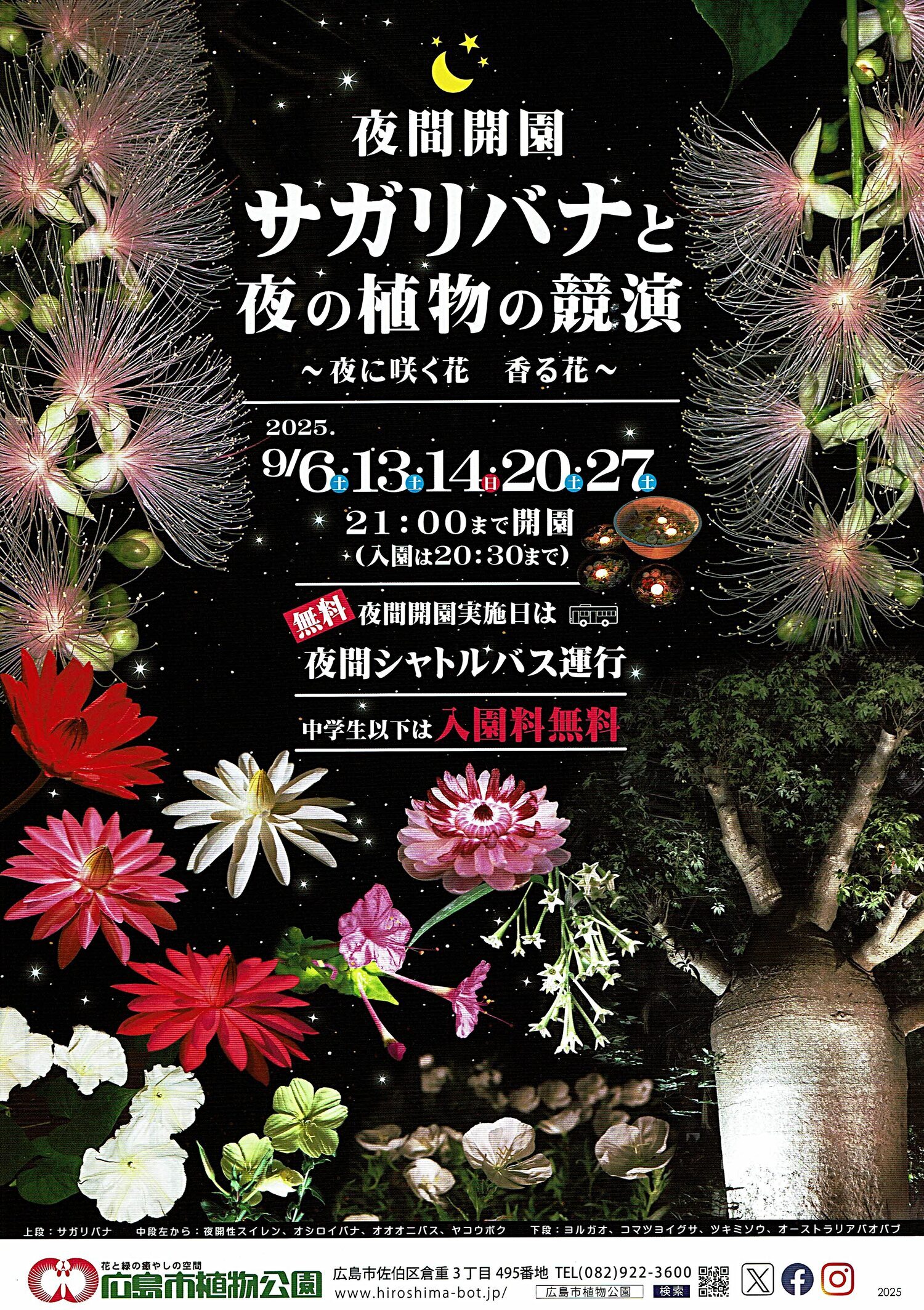 夜間開園「サガリバナと夜の植物の競演」　広島市植物公園チラシ