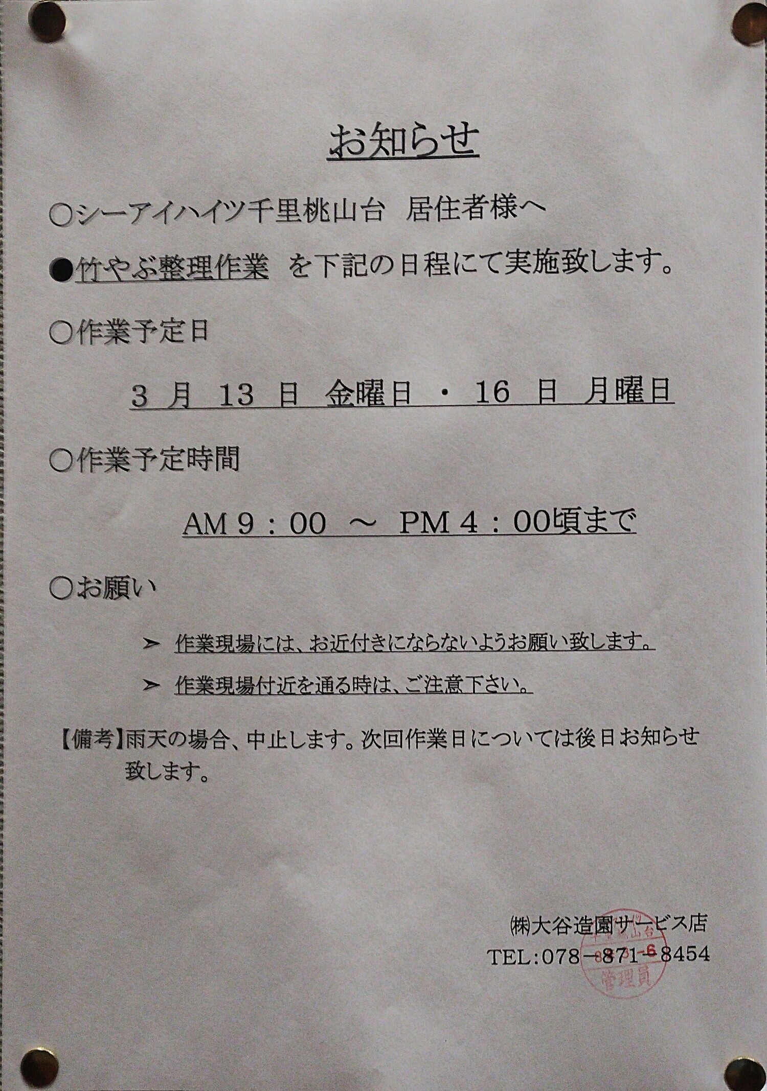 竹やぶ整理作業