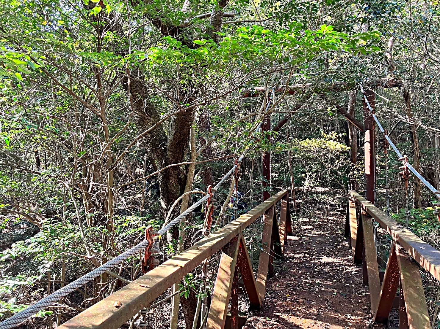 あしや村跡地ハイキング2024