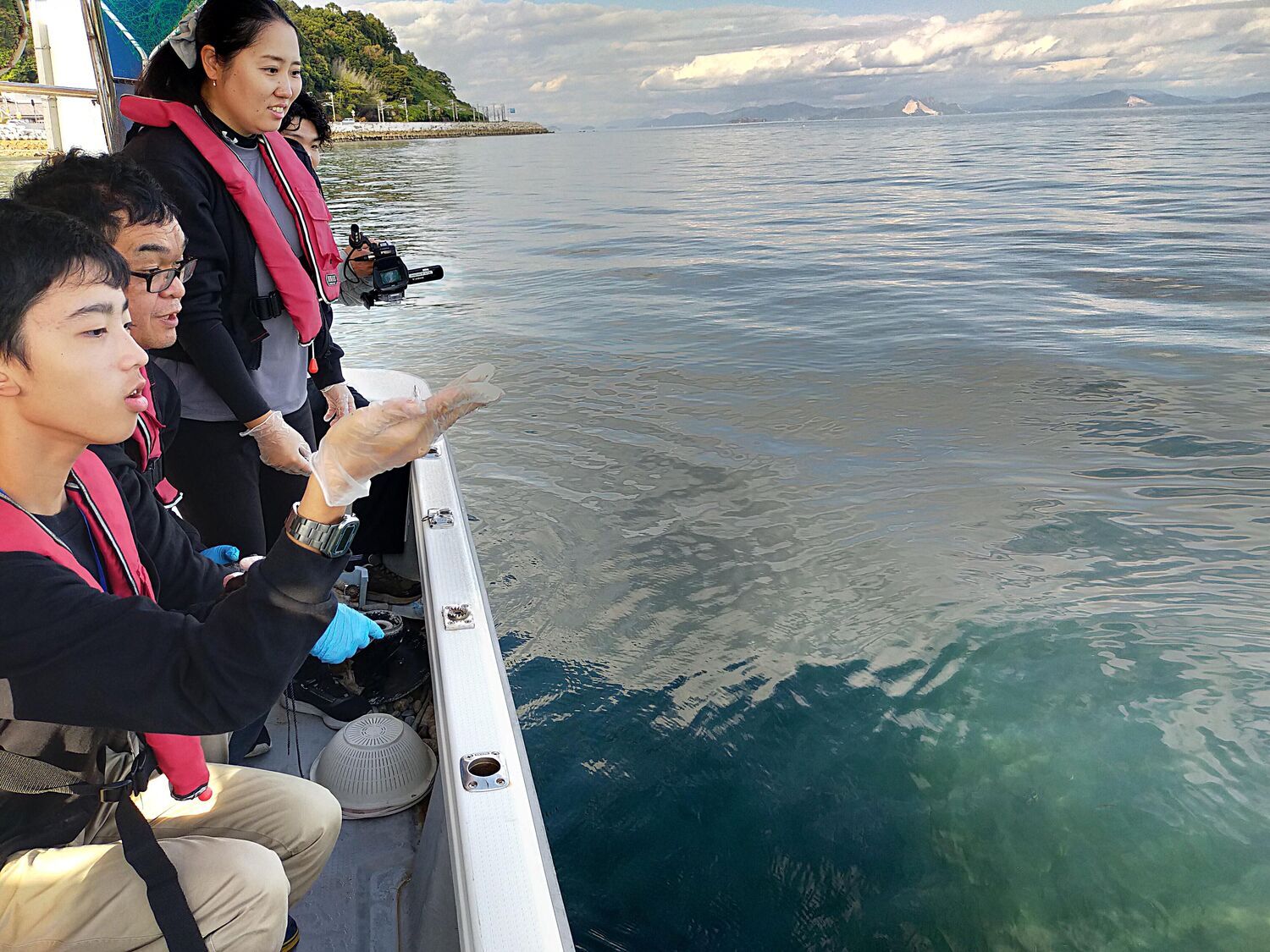 （広島湾ブルーカーボン研究会）アマモの種まき体験会
