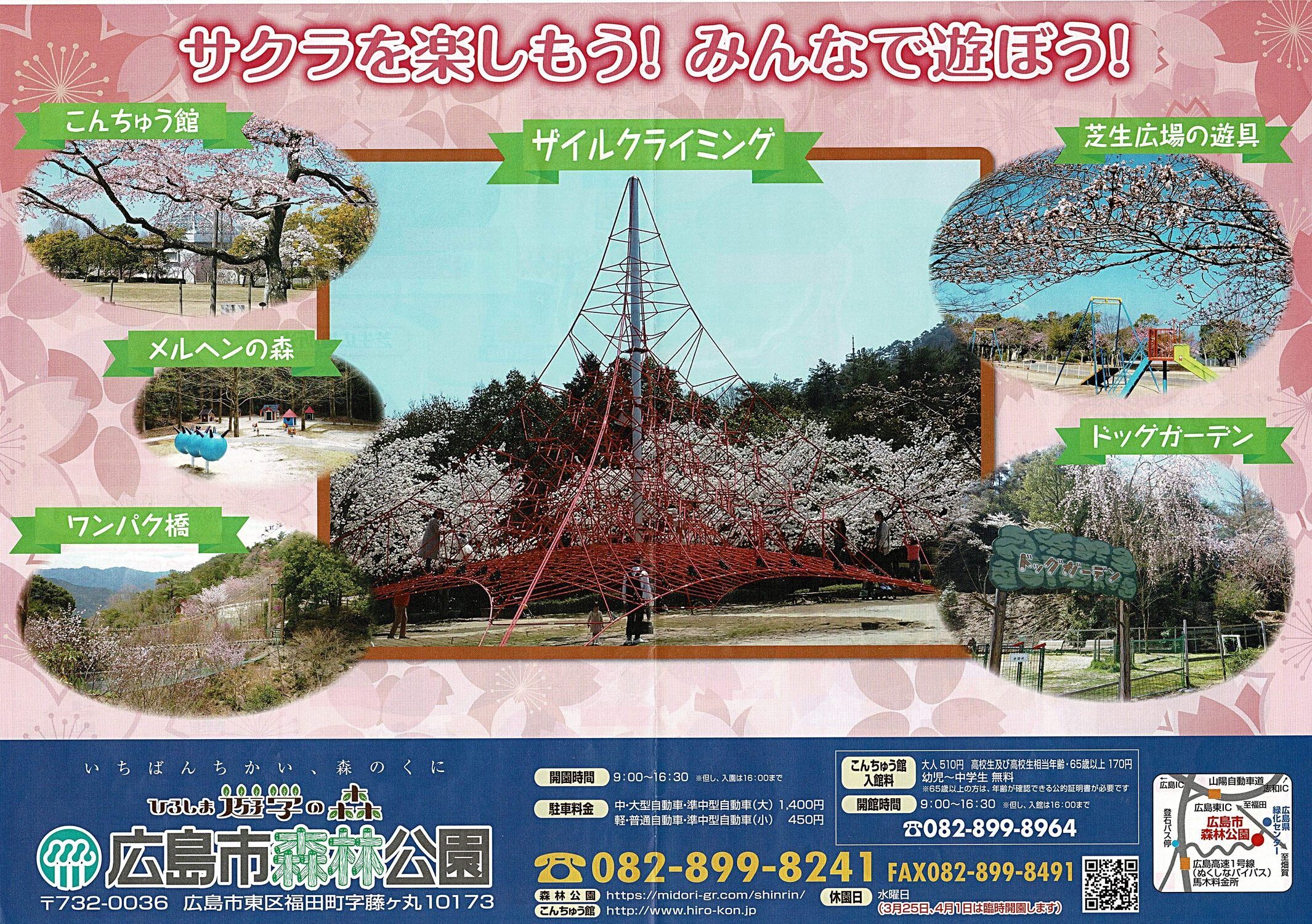 サクラを楽しもう！　みんなで遊ぼう！
