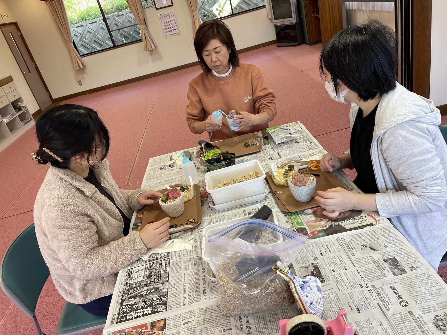 ≪あわが保育園≫　多肉植物の寄せ植え教室