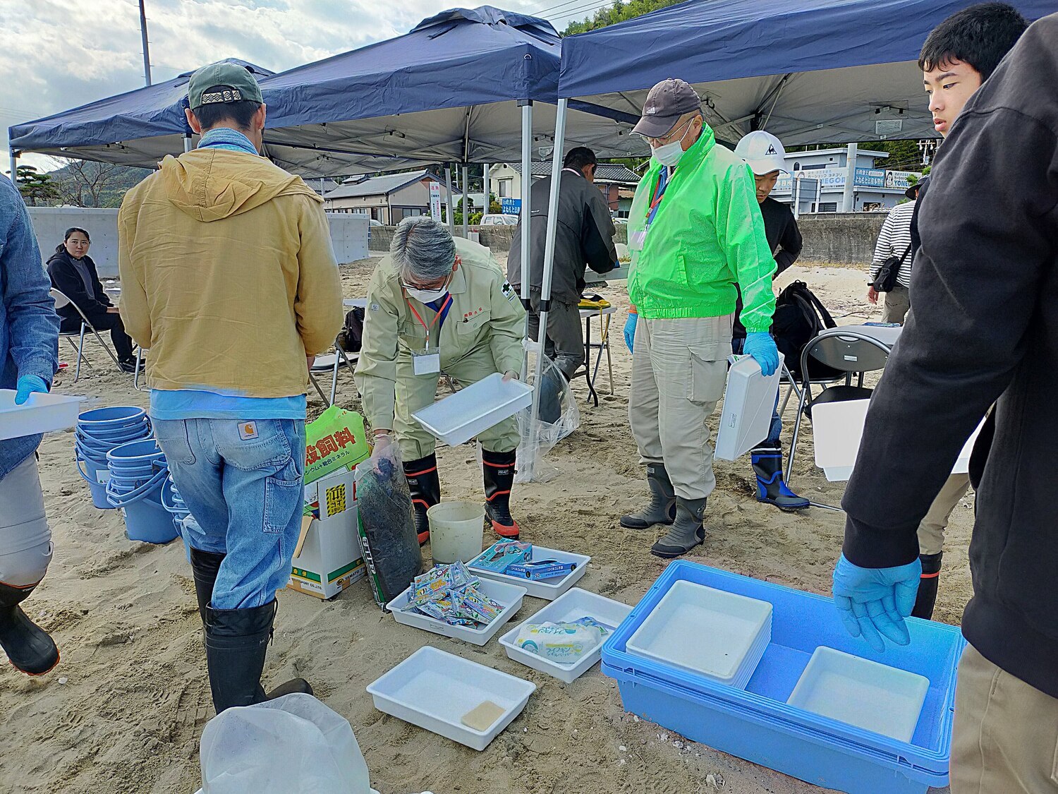 （広島湾ブルーカーボン研究会）アマモの種まき体験会