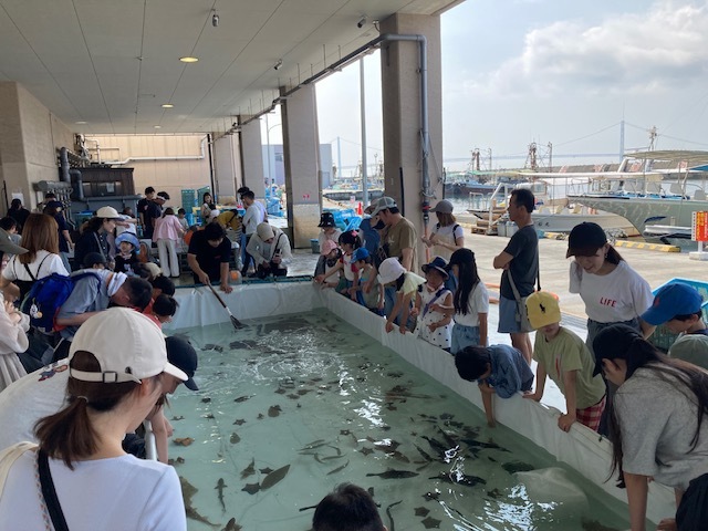 釣って！触って！親子で学ぼう 明石ダコ体験