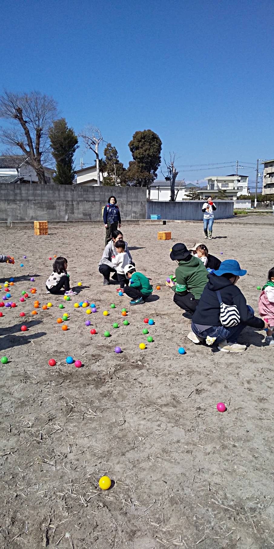 畑で春の大運動会！