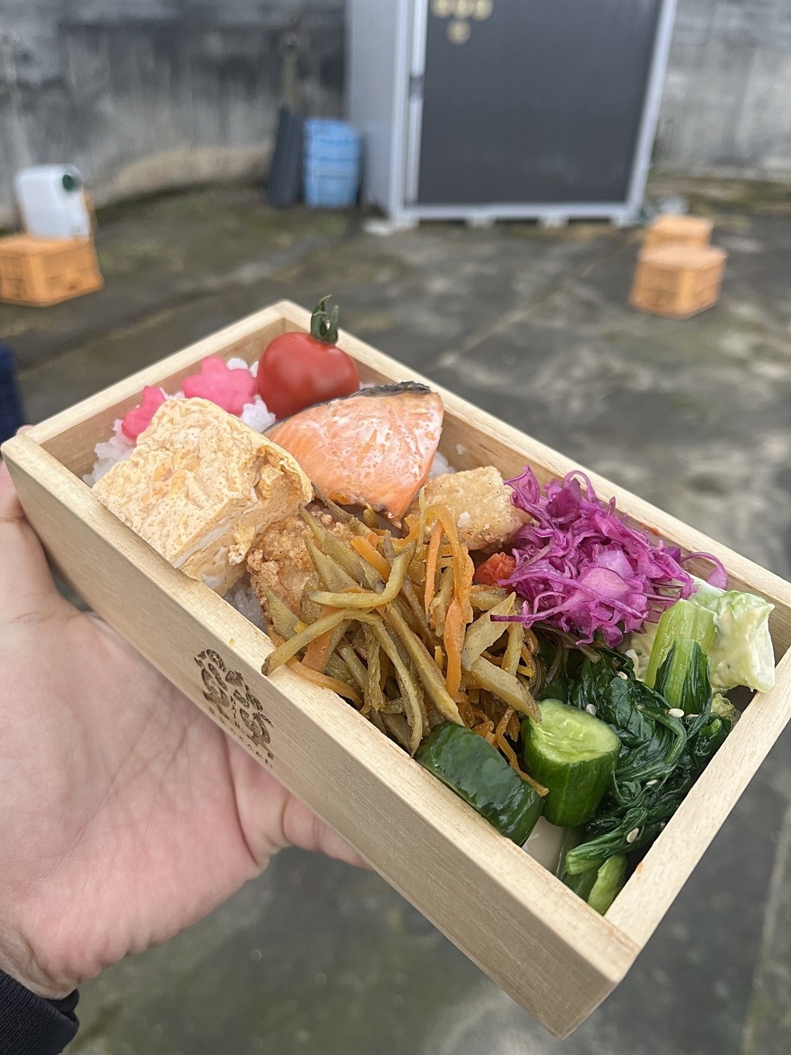 畑でおえかきとお花見弁当の会🌸