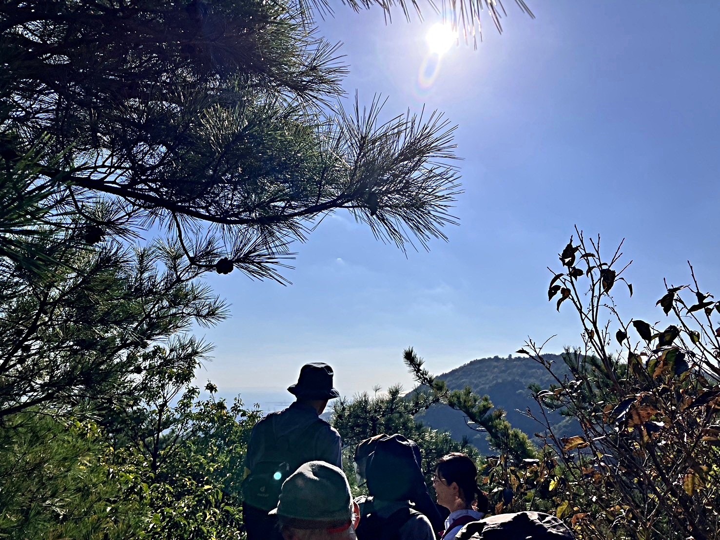 あしや村跡地ハイキング2025