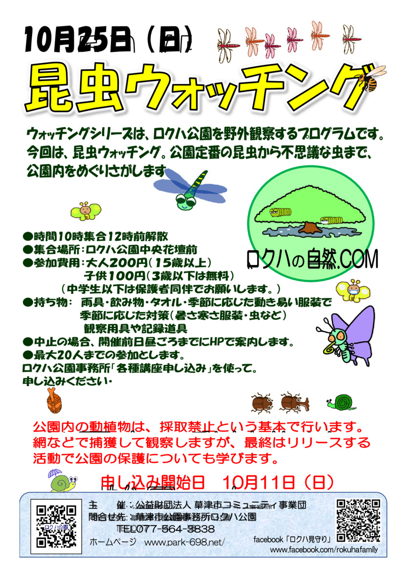 10/25「昆虫ウォッチング②」開催します
