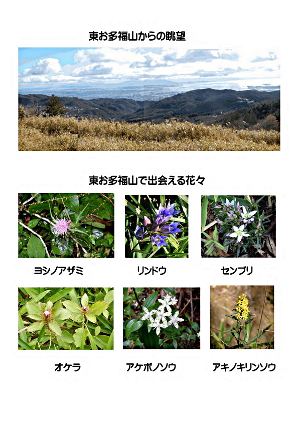 東お多福山草原ハイキングー草刈り体験もちょこっとあるよー