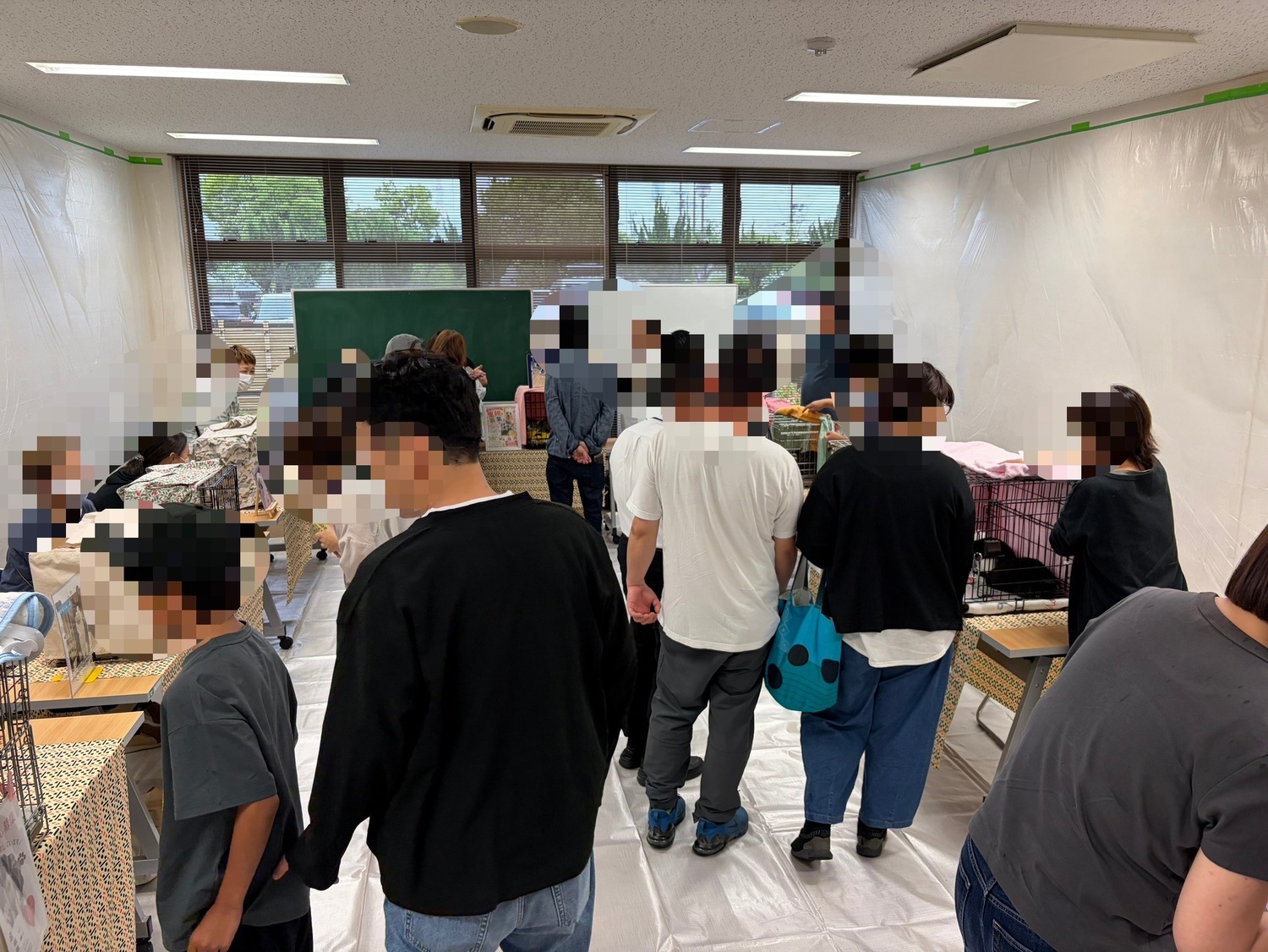 猫の縁結び〜保護猫譲渡会〜