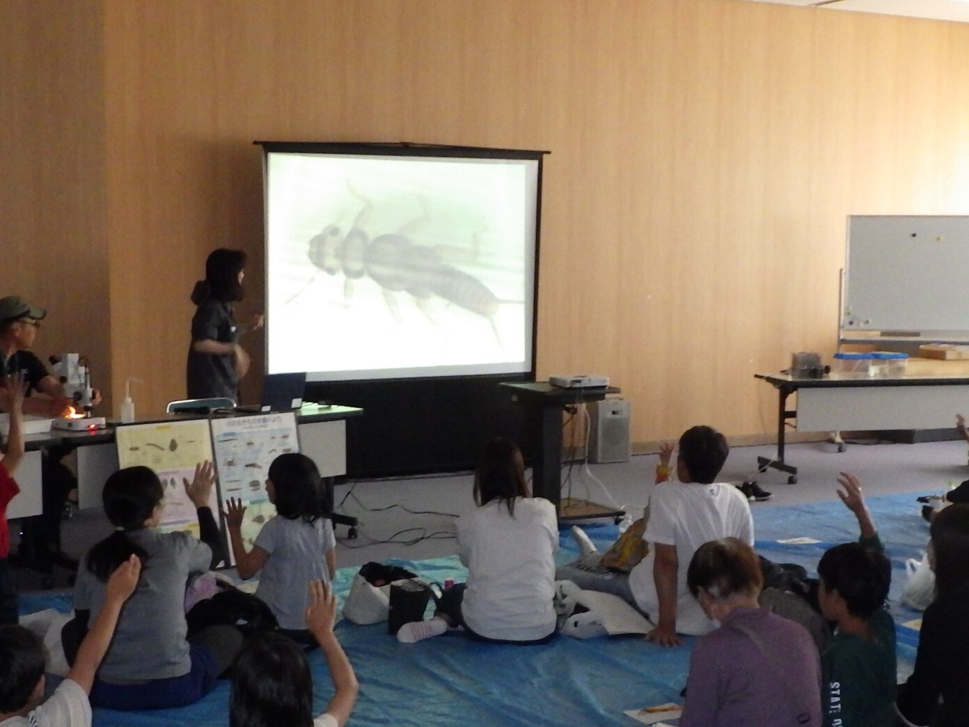 探してみよう！水辺の生き物　in　栗栖川