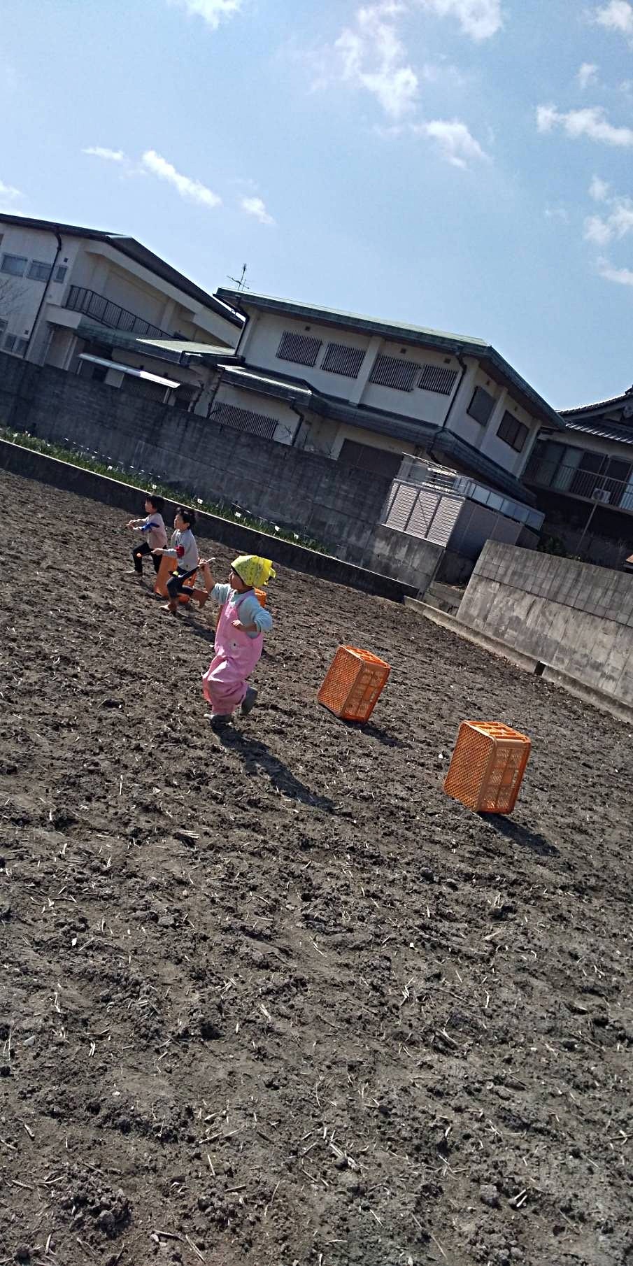 畑で春の大運動会！