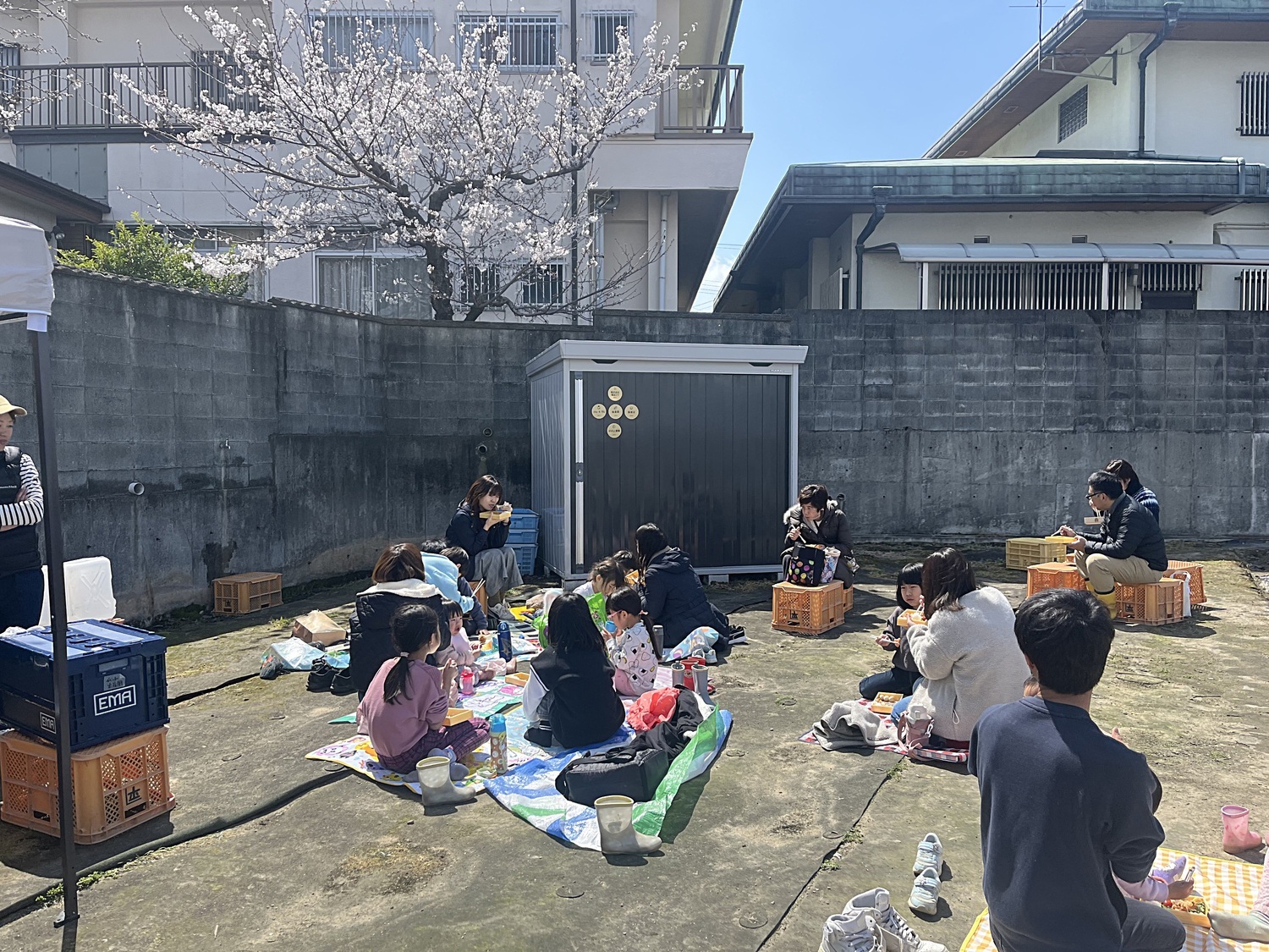 畑でおえかきとお花見弁当の会🌸