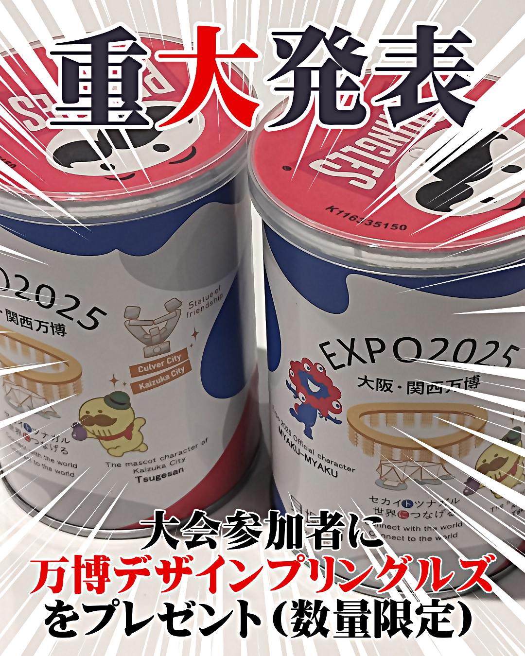 第６回ソーシャルクリケット大会