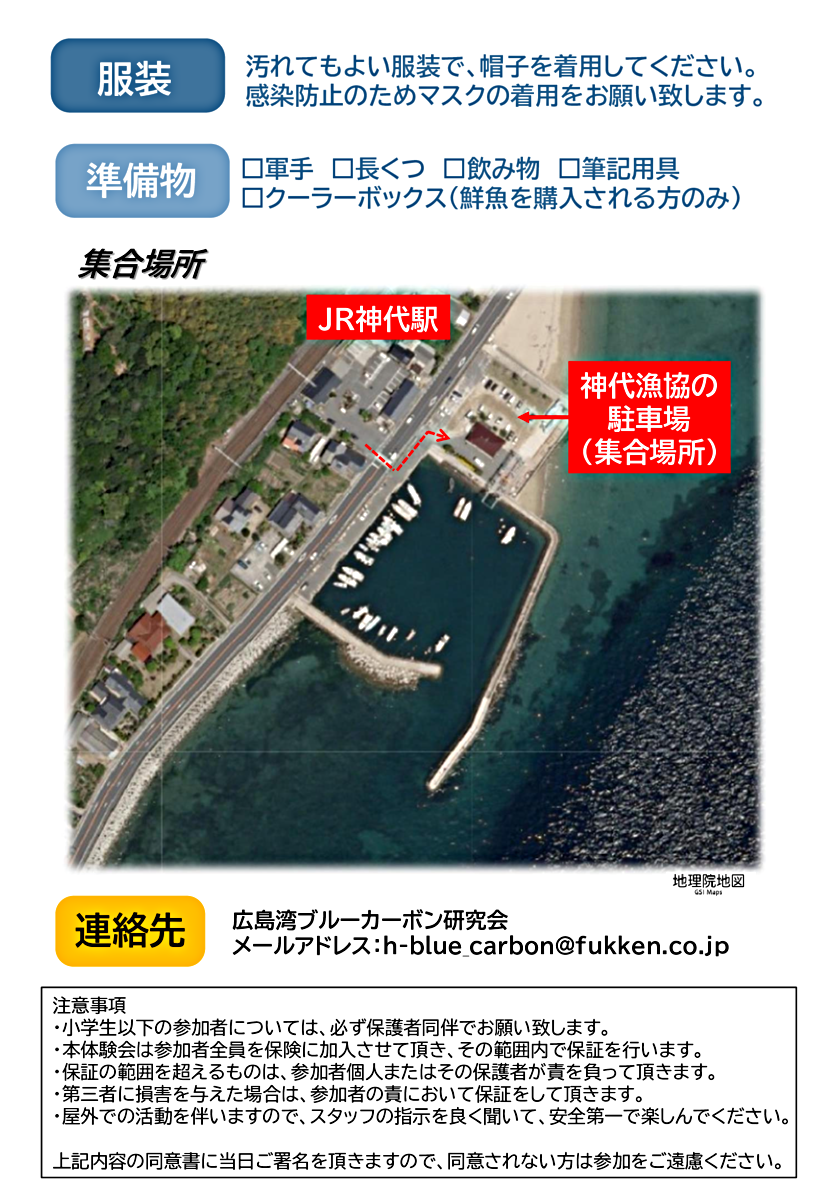 アマモの再生活動体験会