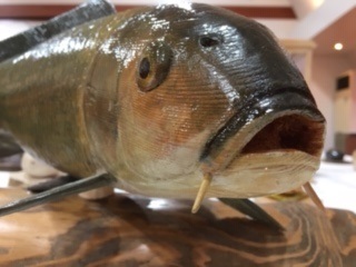 木彫魚の世界