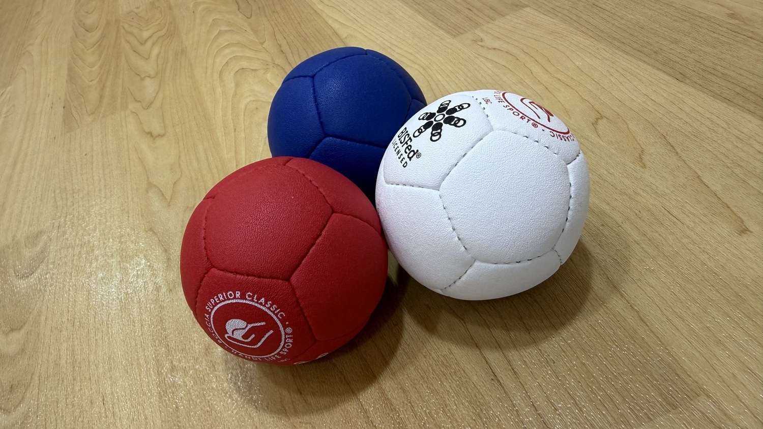 第八回なかのボッチャ大会