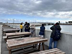 1月31日開催！！野鳥観察会のご案内