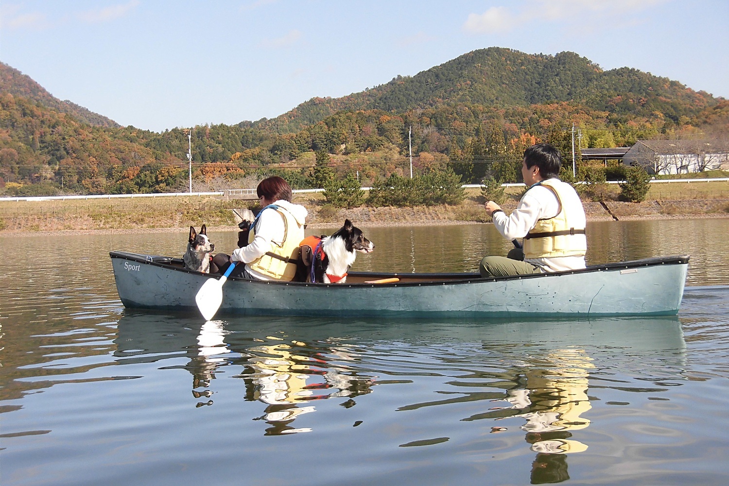 もう、桜は満開！千丈寺湖　お花見カナディアンカヌーツーリング