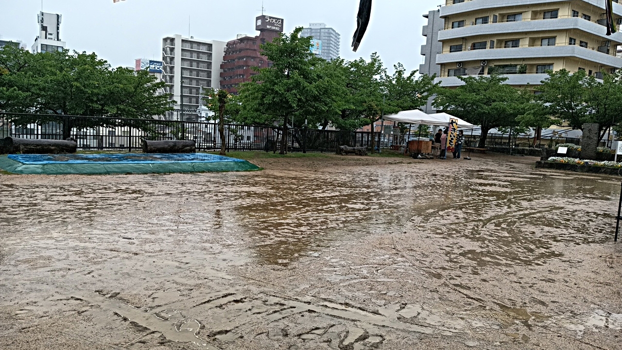 🌸はなくま🐻こどもまつり🎏