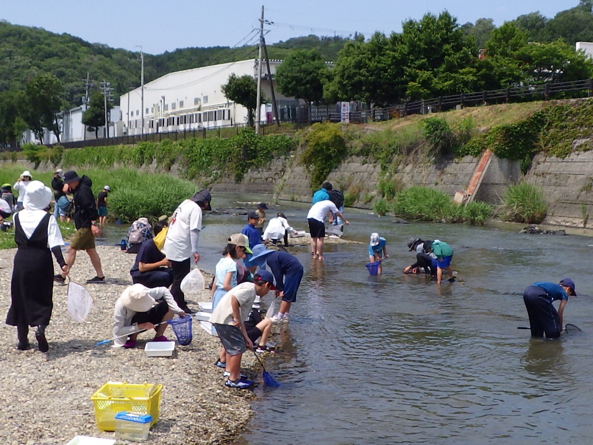 探してみよう！水辺の生き物　in　栗栖川