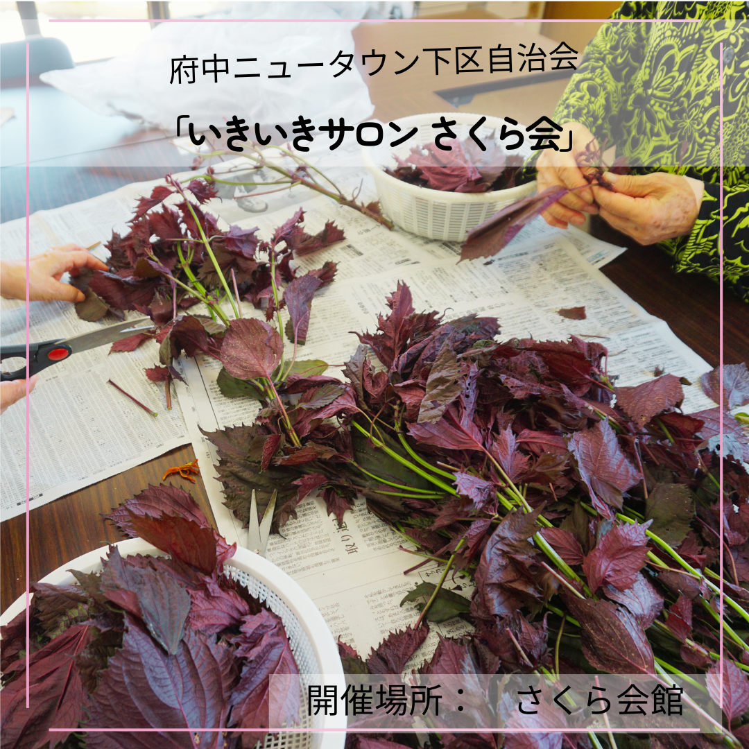 ふれあい・いきいきサロンのようす
