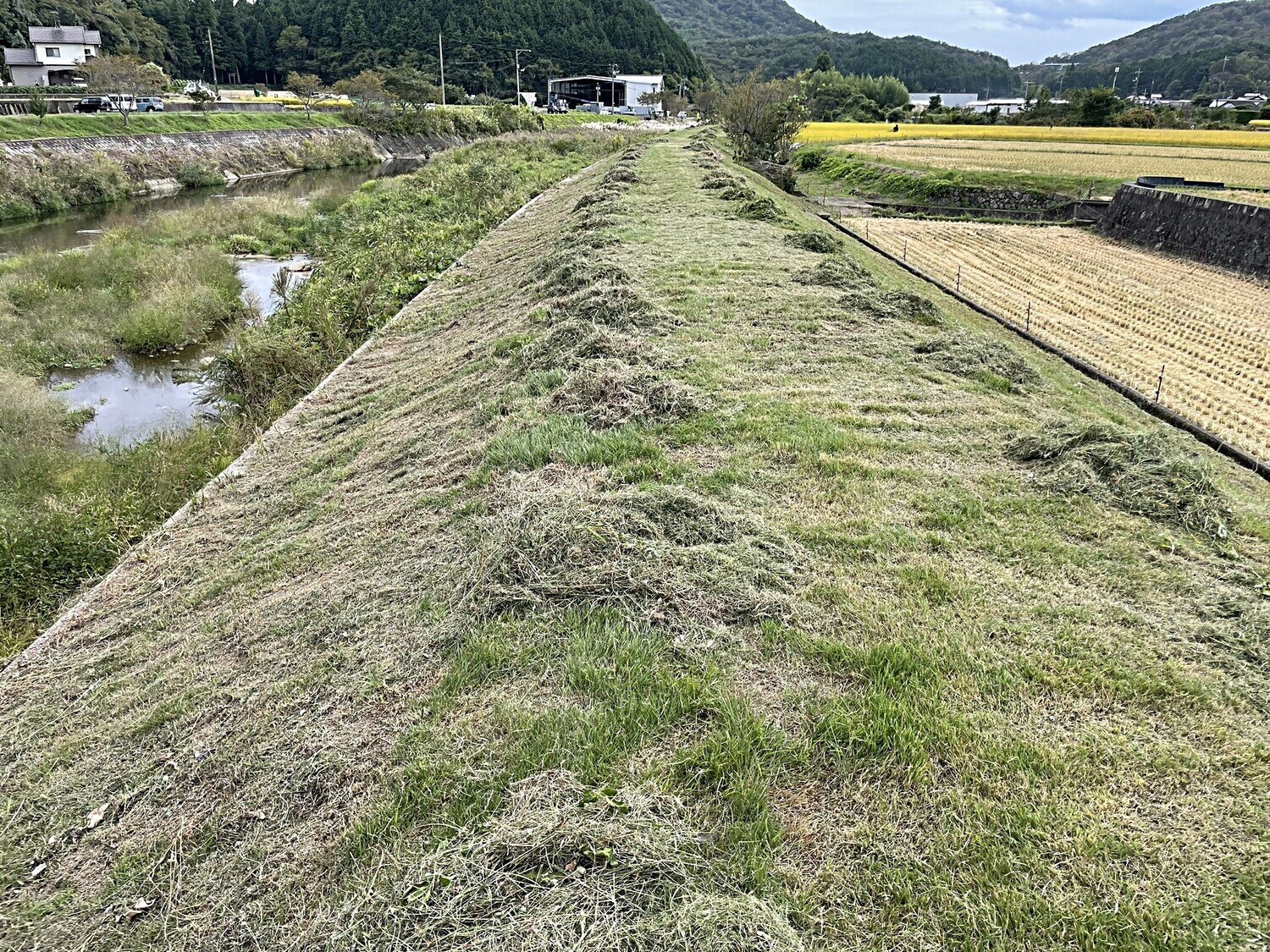 草刈りボランティア LoveRiver GrassBusters