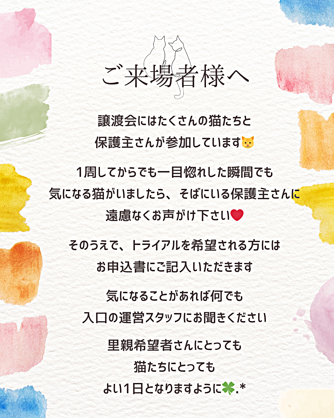 猫の縁結び〜保護猫の譲渡会〜