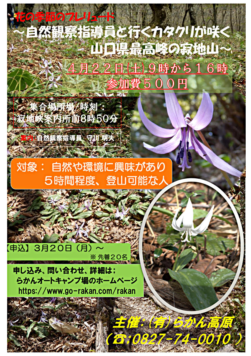花の季節のプレリュード　　　～　自然観察指導員と行く、カタクリが咲く山口県最高峰の寂地山　～