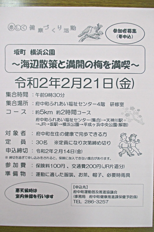 ～海辺散策と満開の梅を満喫～