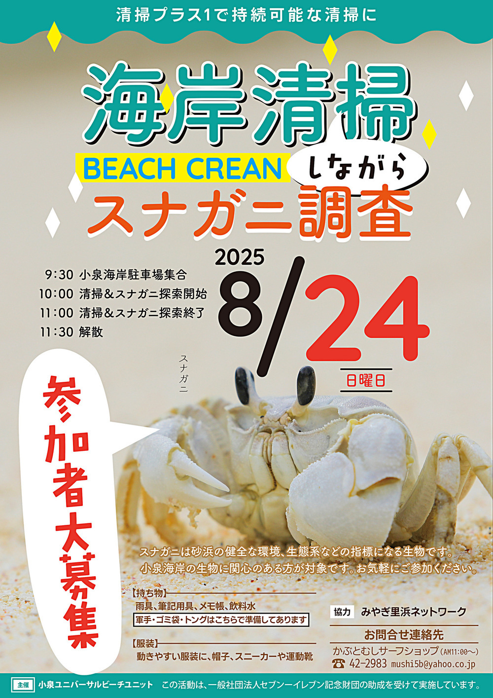 海岸清掃しながら、スナガニ調査🎶