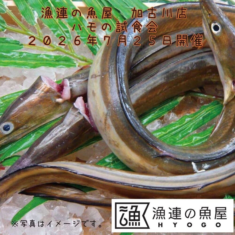 漁連の魚屋 加古川店 ハモの試食会