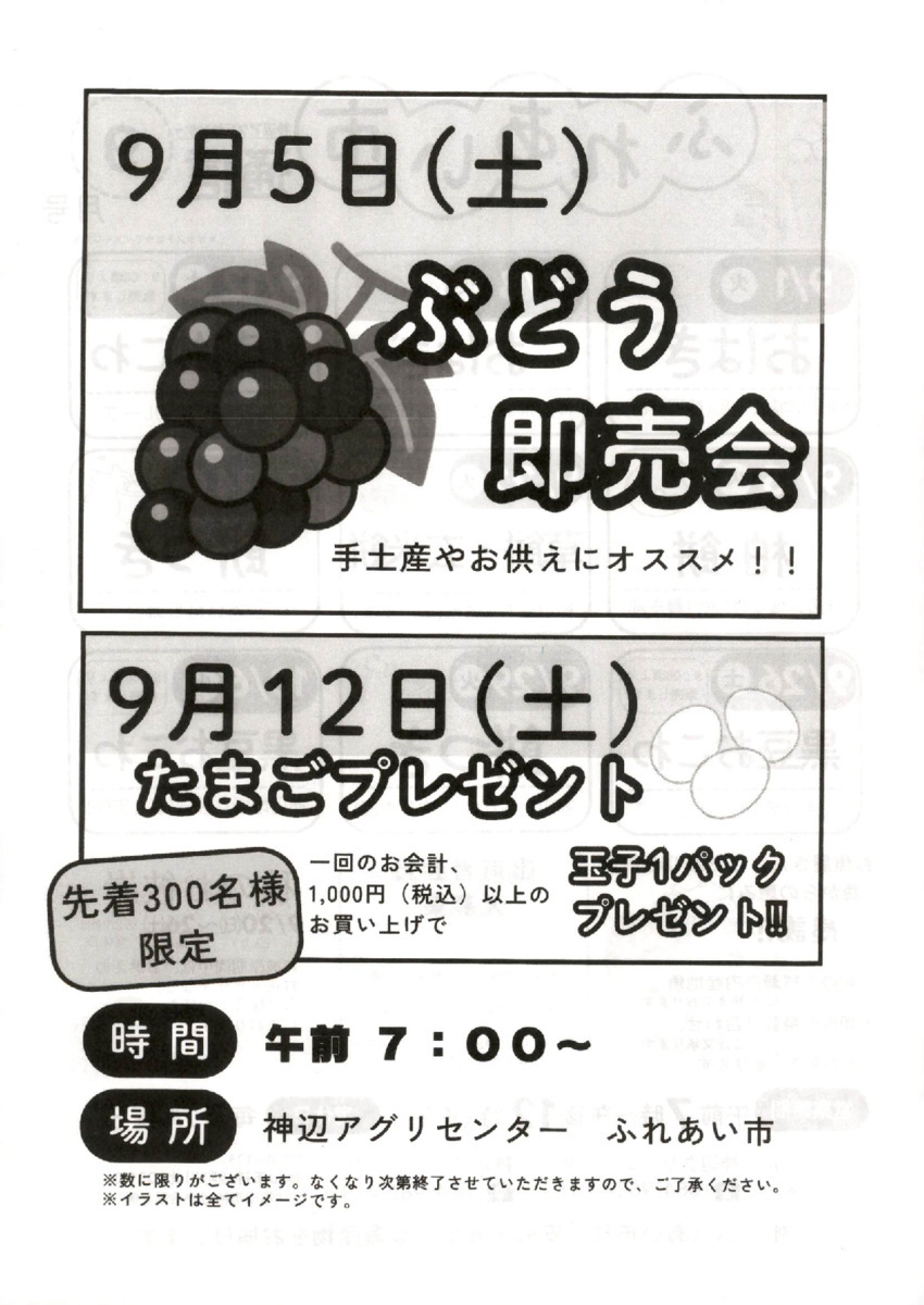 先着３００名様に
たまごプレゼント！