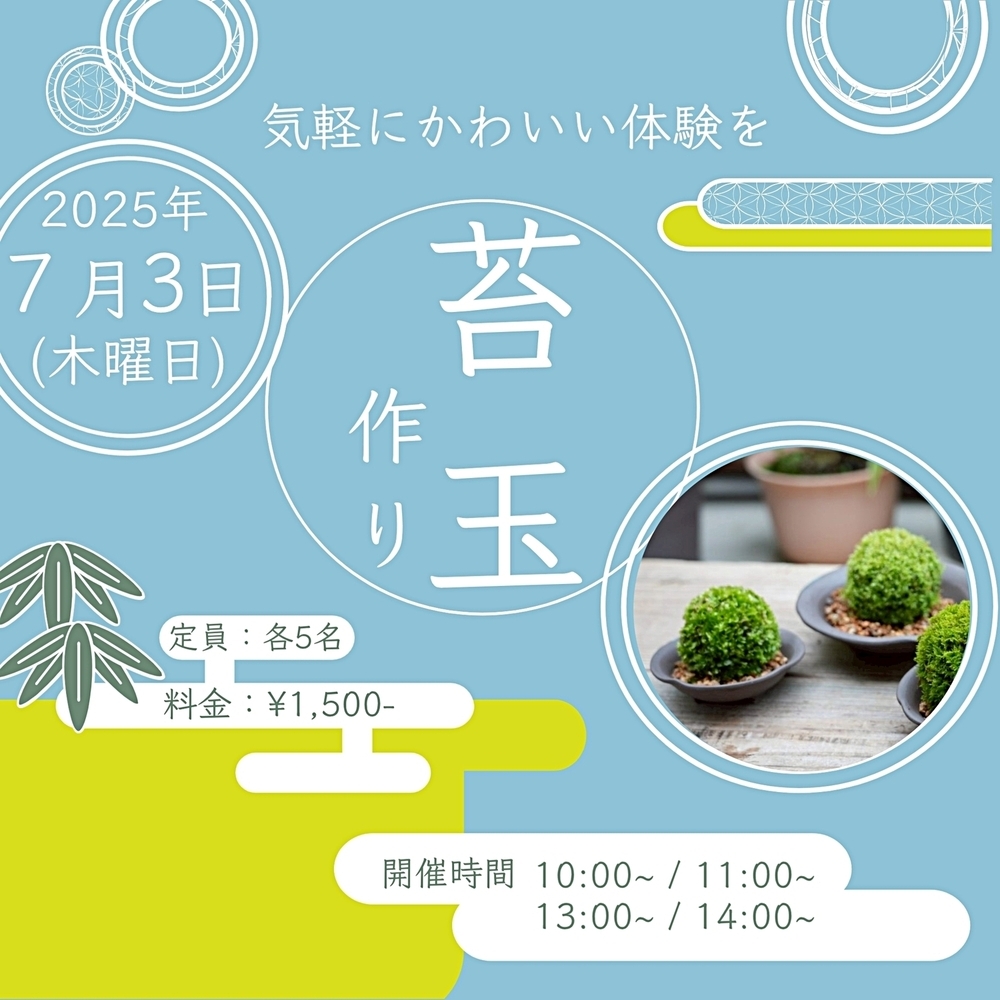 こけ玉づくり