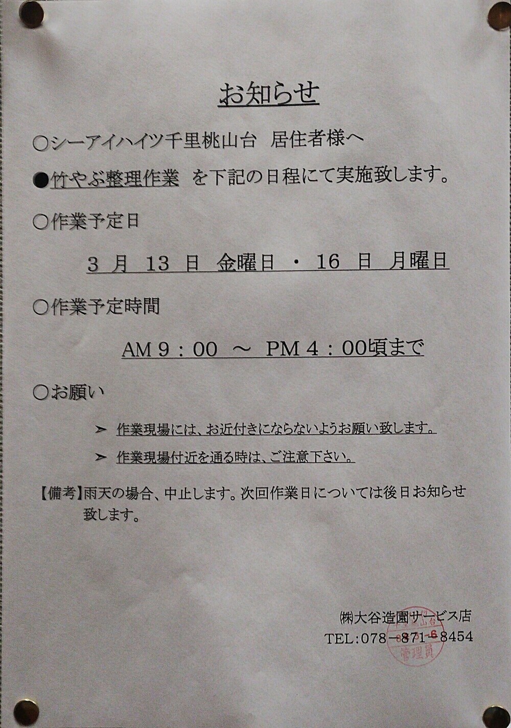 竹やぶ整理作業