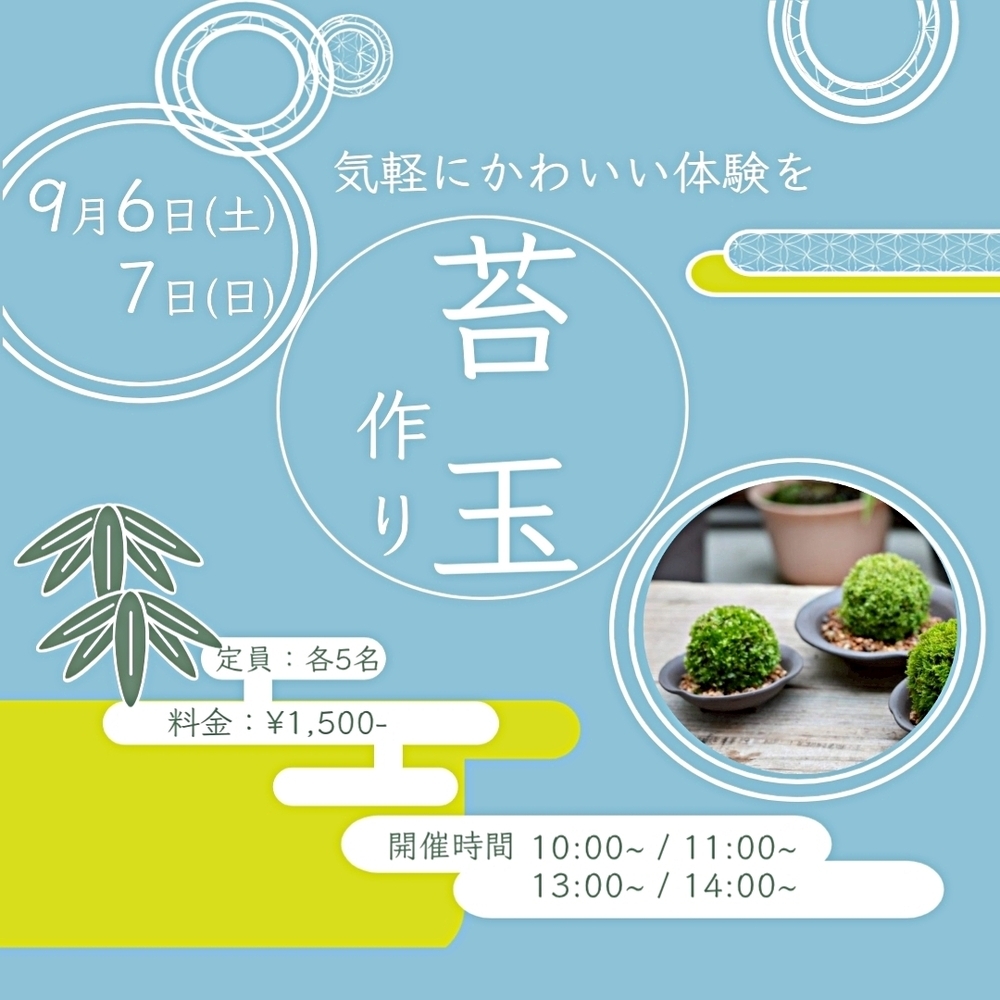 Bonsai Day～こけ玉づくり～