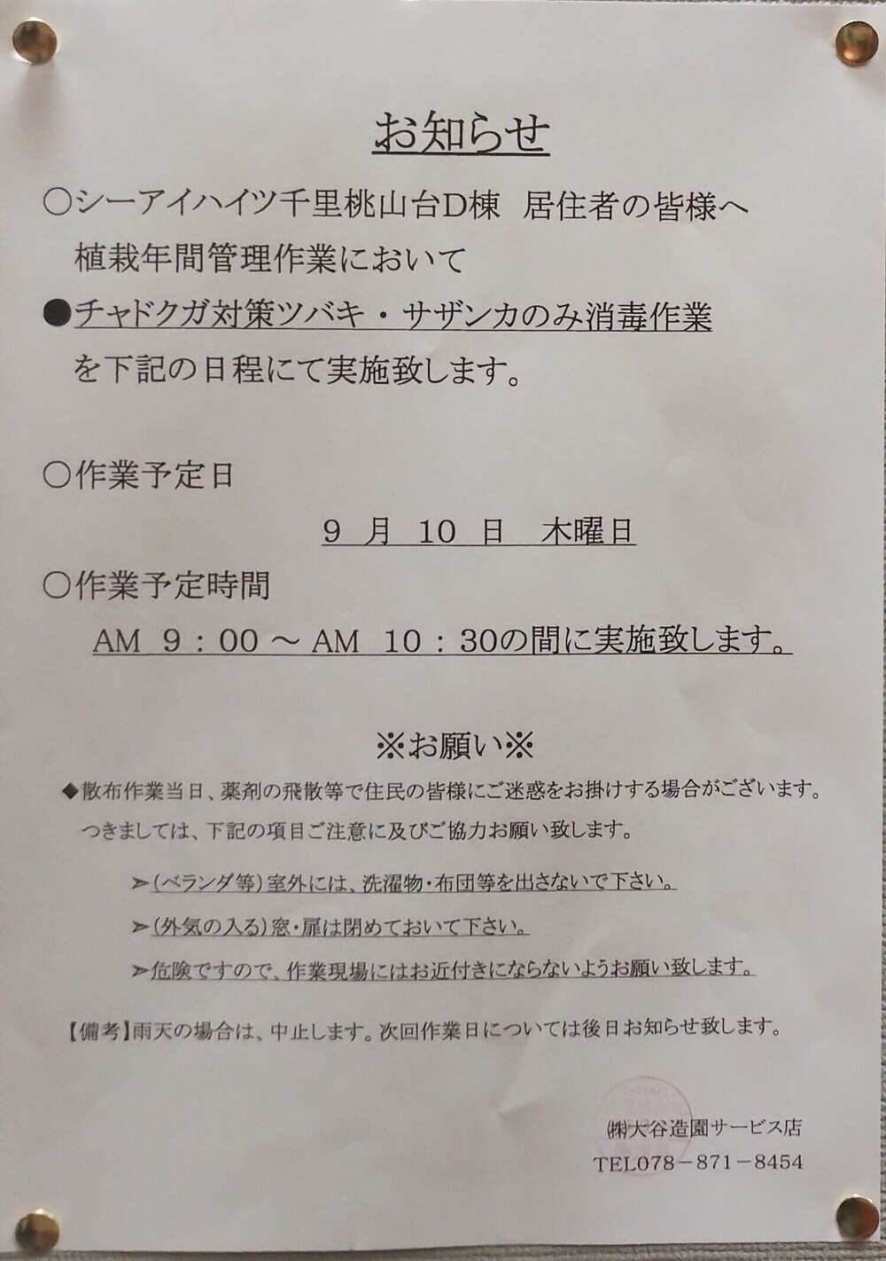 チャドクガ対策ツバキ・サザンカのみ消毒作業