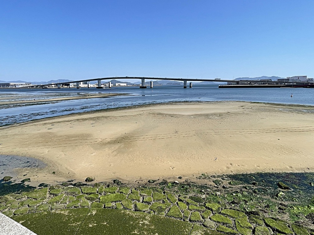 岡の下川河口干潟アサリ養殖場整備