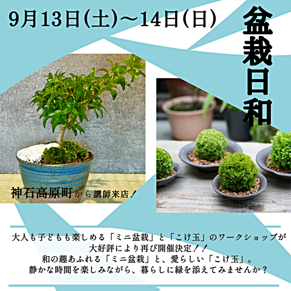 Bonsai Day