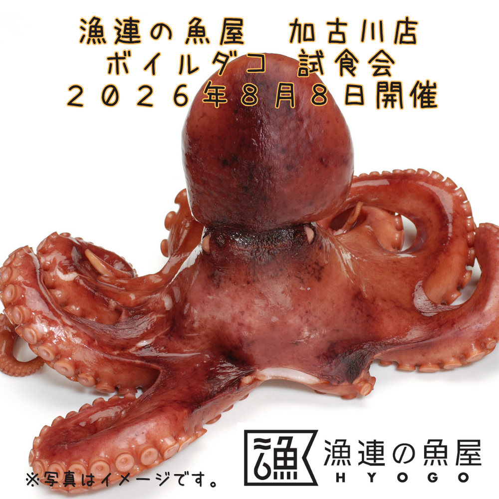漁連の魚屋 加古川店 ボイルダコの試食会