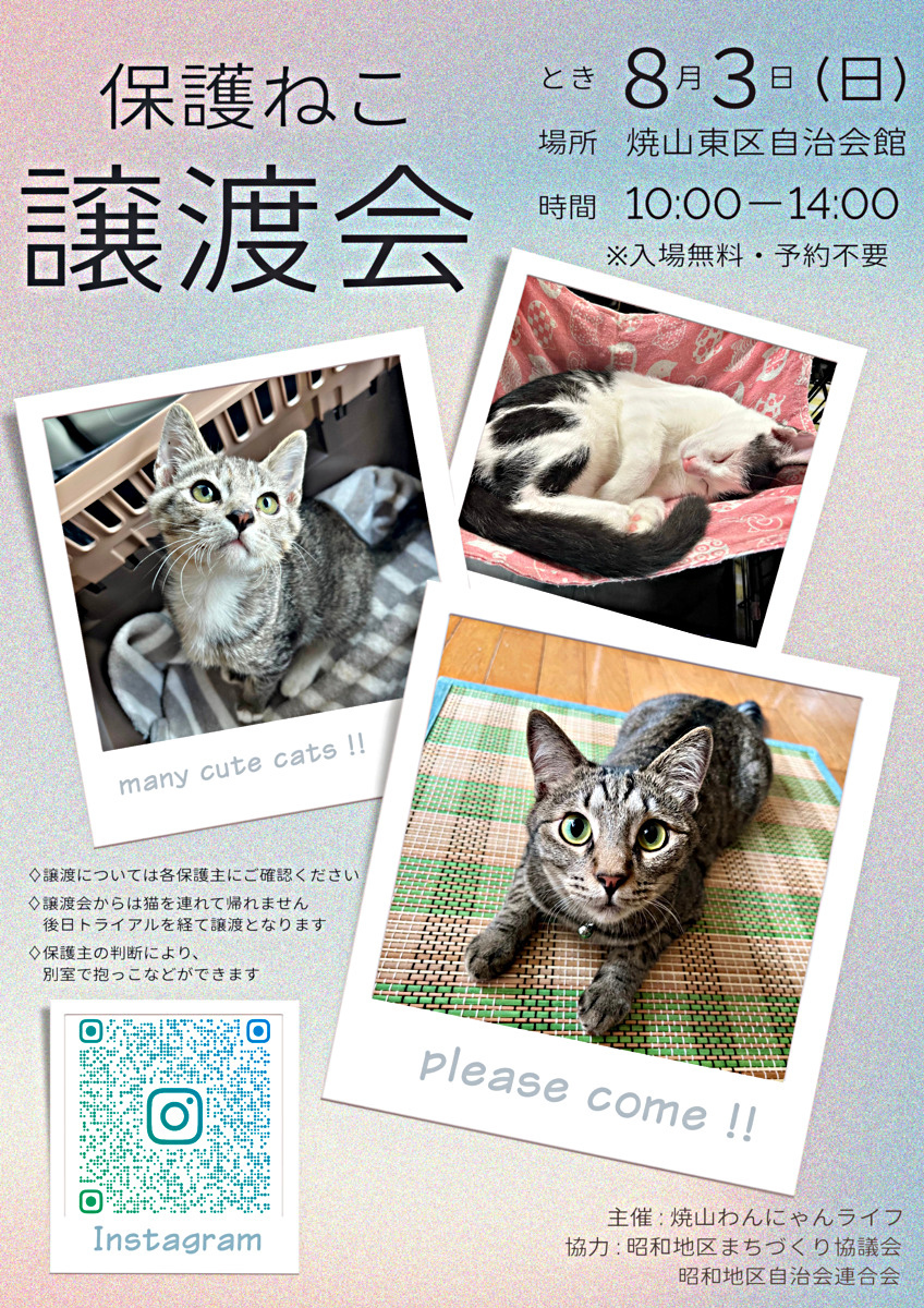保護猫譲渡会