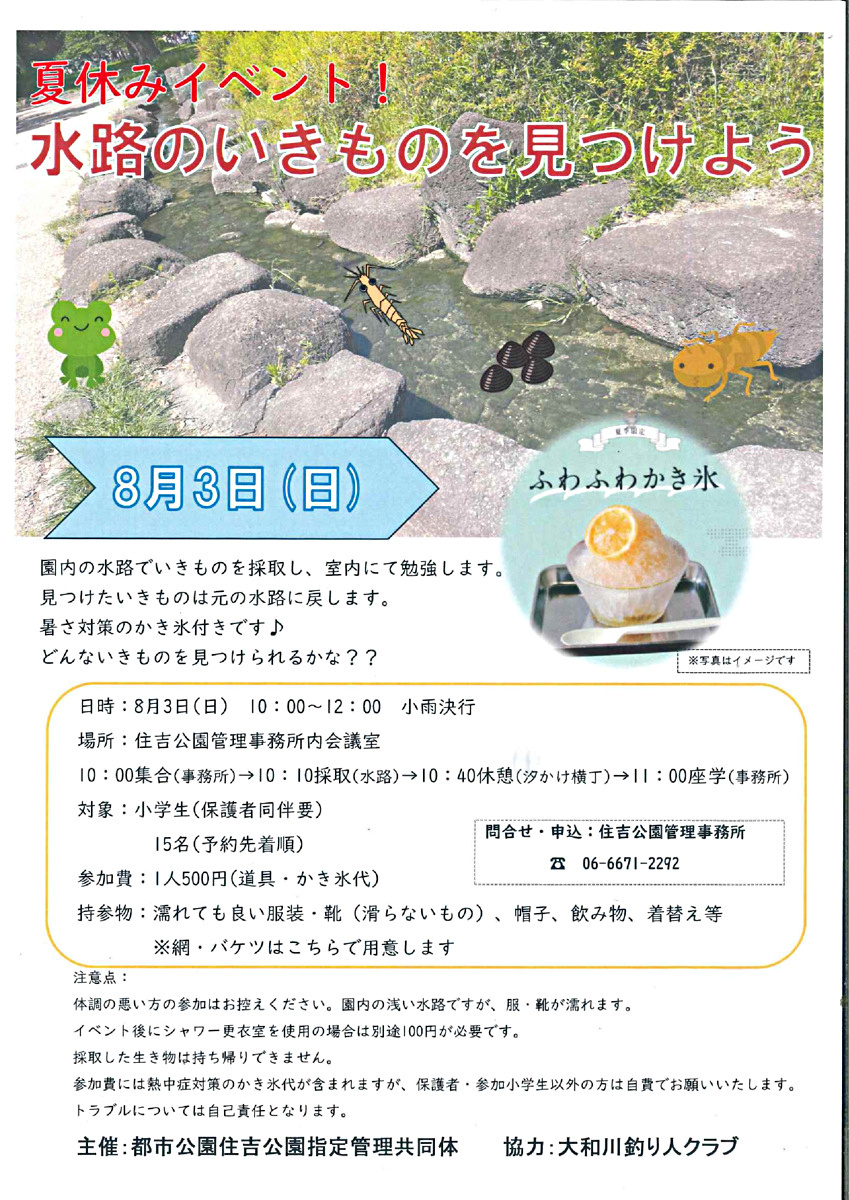 水路のいきものを見つけよう